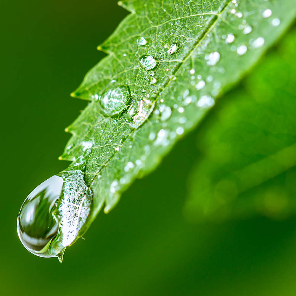 anwendungen-regenwasser